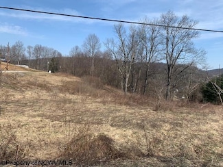 TBD Rohrbough St, Belington, WV 26250