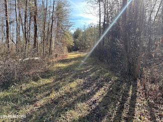 14.56 Acres Hwy 52, Robbins, TN 37852