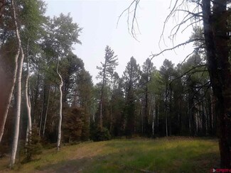 431 Juniper Dr, Cimarron, CO 81220