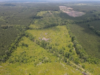 - Mississippi 492, Walnut Grove, MS 39189