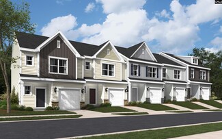 2002 Day Lily Way, Elgin, SC 29045