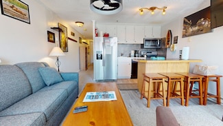 330 Mountain Lodge, Snowshoe, WV 26209