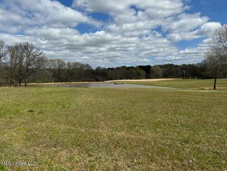 1885 Hunter Chapel Rd, Como, MS 38619