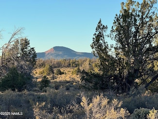 4813 E Woodland Ranch Rd, Valle, AZ 86046