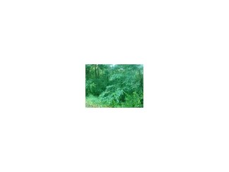 7345 State Route 13 SE, Corning, OH 43730