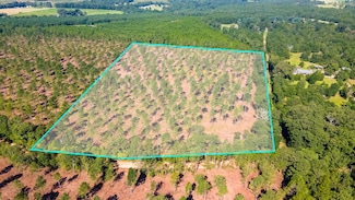 Lot 3 Bluffwood Rd, Wagener, SC 29164
