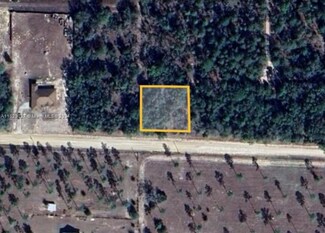 WILLISTON Williston, Williston, FL 32696