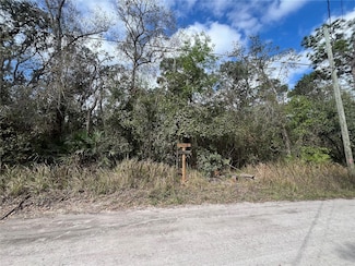 TBD Shalimar St, Moon Lake Estates, FL 34654