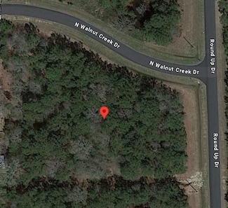 30091 Round up Dr, Prairie View, TX 77484