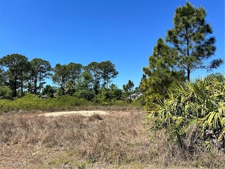 338 Genoa Ave S, Lehigh Acres, FL 33974