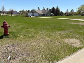 Lots 4&5 Red Willow Cir, Frazee, MN 56544