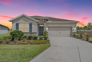 31662 Tansy Bend, Wesley Chapel, FL 33545