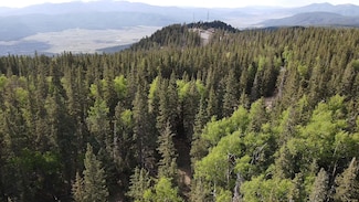 Lot 44 Happy Way, Angel Fire, NM 87710