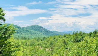 78-5-15 Village Corner Rd, Wolfeboro, NH 03894