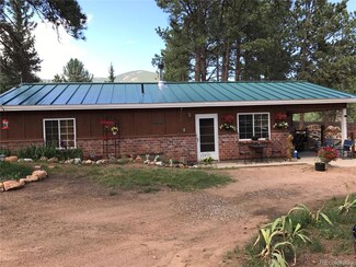 161 Sullivan St, Bailey, CO 80421