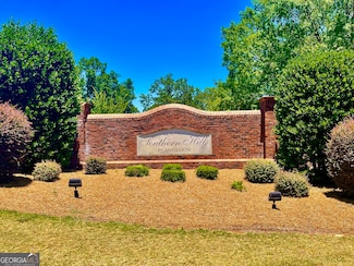41 Crabapple Dr, Hawkinsville, GA 31036