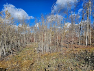 PARCEL B North Rd, Curtis, MI 49820