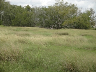 TBD Vogelsang Ln, Dinero, TX 78022