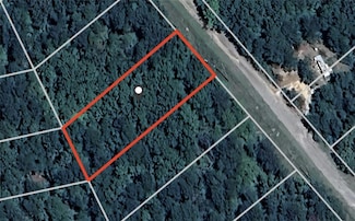 0 Danthus Dr Unit 7576422, Sparta, GA 31087