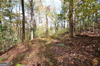0 Alto Ln Unit 10533235, Rabun Gap, GA 30568