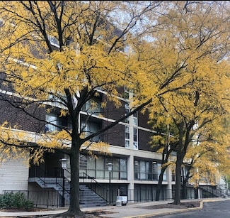 1043 S York Rd Unit 208, Bensenville, IL 60106