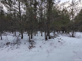 Parcel 4 S Rice Lake Dr, Forsyth Township, MI 49841
