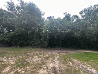 TBD Old Israel Rd, Livingston, TX 77351