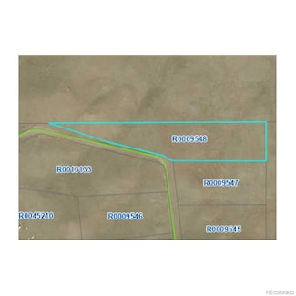 000 Black Beaver Cir, Hartsel, CO 80449