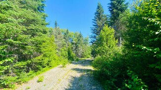 M4 L2-14 Yellow Birch Rd, Whiting, ME 04691