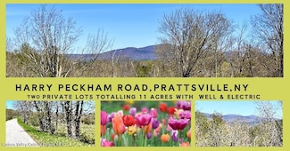 167 Harry Peckham Rd, Prattsville, NY 12468