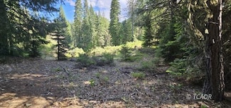 91 Wildwood Ranch Rd, Wildwood, CA 96076