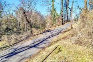 311 Bedford Ave, Knoxville, TN 37914