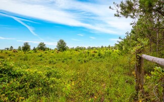 00 NW Highlands Rd, Mayo, FL 32066