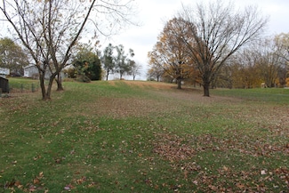 0 Wolf Lake Rd Unit 25022761, Grass Lake, MI 49240