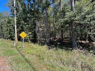 0 Country Lake Dr Unit 4128554, Summit, MS 39666