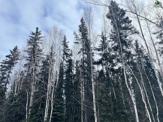 nhn Chena Pump Rd Unit Heldiver Street, Fairbanks, AK 99709