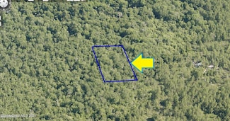 0000 No Access-Lot 3 03 St, Mims, FL 32754