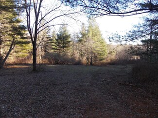 TBD Danville Pike, Meadows of Dan, VA 24120