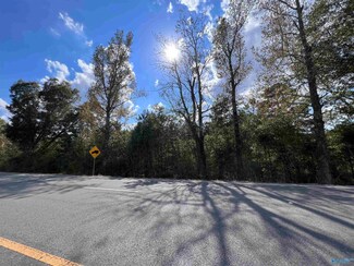 1.8 AC U S Highway 31, Hanceville, AL 35077