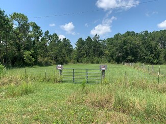 AA Doc Whitfield Rd, Wewahitchka, FL 32465