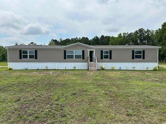 13921 Pleasant Hill Dr, Hemingway, SC 29554