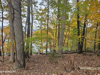 2061 Lakewood Dr, Morristown, TN 37814