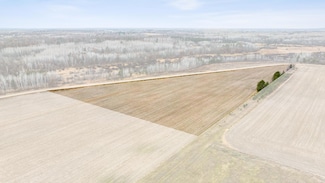 Parcel west Haycreek Rd SW, Wilson Township, MN 56474