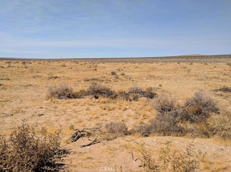 0 Petra Rd, Hinkley, CA 92347