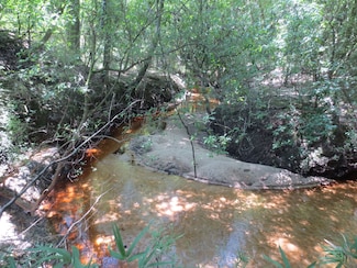 0 Old Highway 49 Unit LotWP003 14874579, Seminary, MS 39479