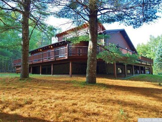 249 Muller Rd, Ashland, NY 12485