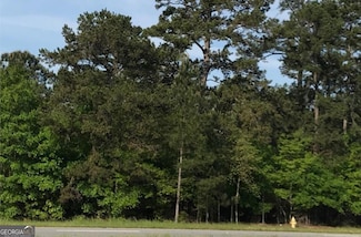0 W Hwy 82, Leesburg, GA 31763