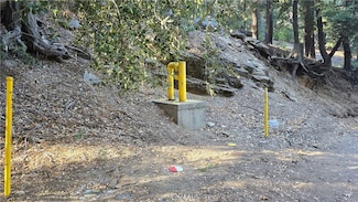 0 Cross Trail Unit CV24254563, Cedarpines Park, CA 92322