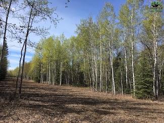 L3 Leng Rd, Deltana, AK 99737