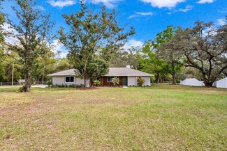 18123 Livingston Ave, Lutz, FL 33559